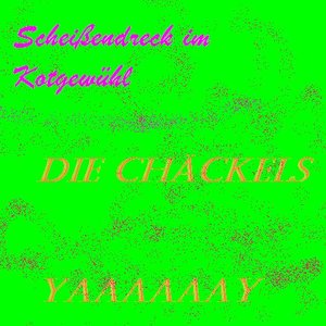 Avatar de Die Chäckels