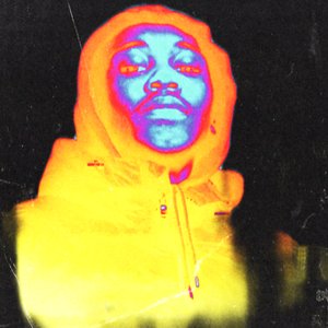 Avatar for Lee HendriX$on