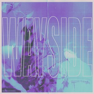 Wayside