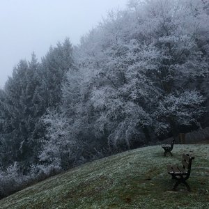 Cold