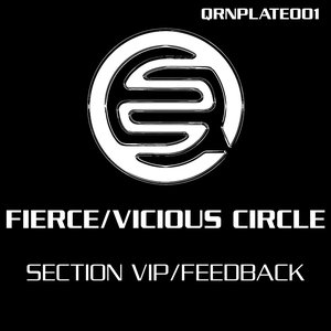 Section VIP / Feedback