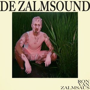 Cover of Voor Een Meisje by Ron van Zalmsaus