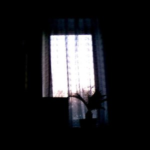 Avatar for uœrhe