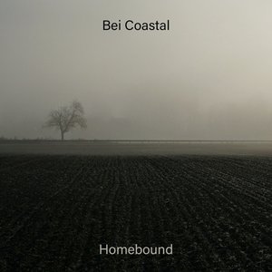 Homebound