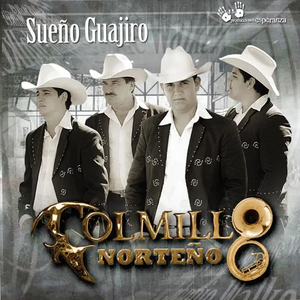Artwork for No Podria Estar Sin Ti