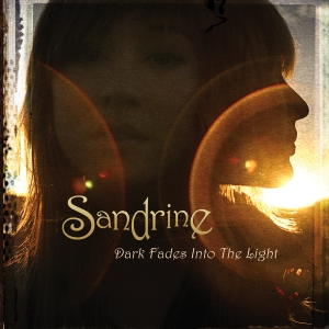 Dark Fades Into the Light album cover