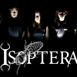 Avatar for Isoptera