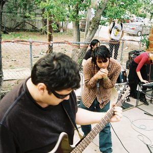 Avatar for Los Llamarada