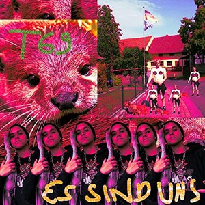 Es sind uns