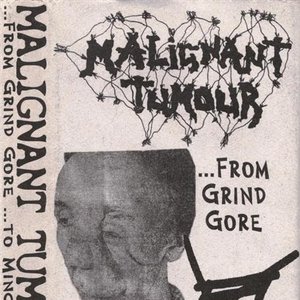 ...From Grind Gore ...To Mince-Core