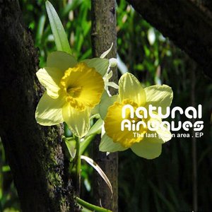 Avatar for natural airwaves