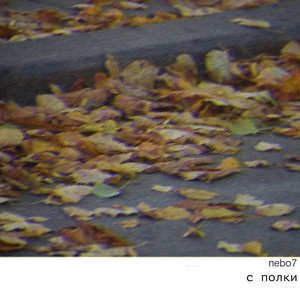 С полки