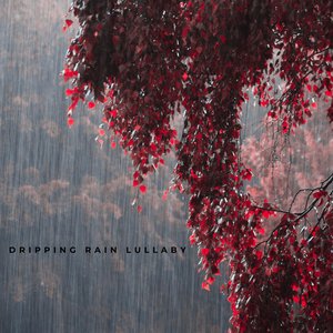 Dripping Rain Lullaby