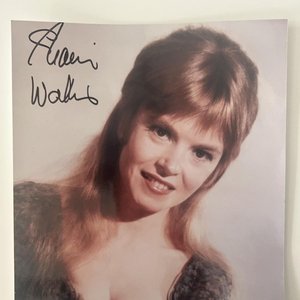 Avatar for Shani Wallis