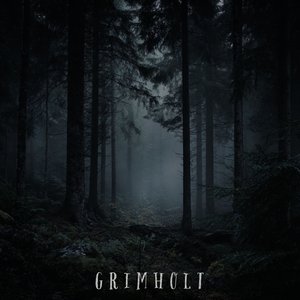Into the Darkwood
