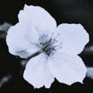 Avatar for ddmmories