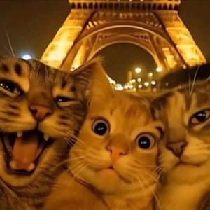 Avatar for TEKKCAT