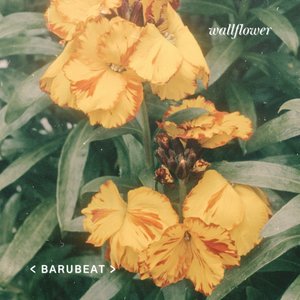 Wallflower