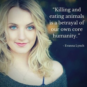 Avatar for Evanna Lynch