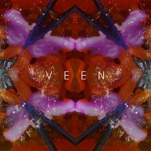 Avatar for veen
