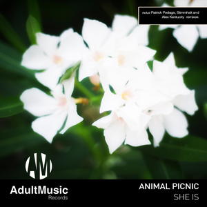 Artwork for She Is (Patrick Podage Remix)