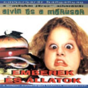 Emberek És Állatok