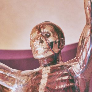 Angel - Single