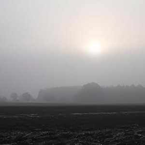 Un matin d'hiver