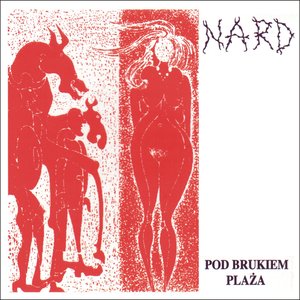 Pod brukiem plaża