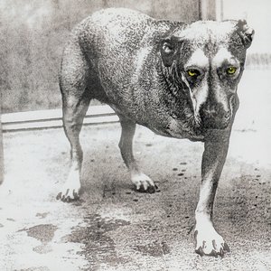 Alice in Chains