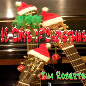 12 Days of Christmas album cover