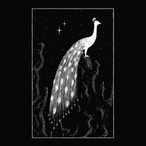Avatar for Kaffaljidhma