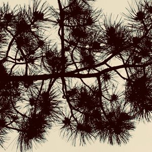 Avatar for Nordvest