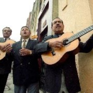 Avatar for Los Chamas