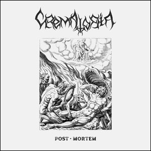 Post Mortem
