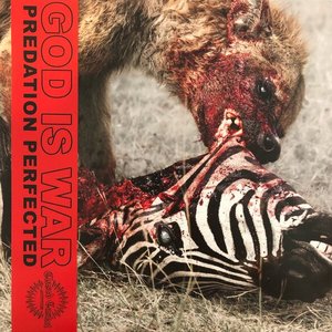 Predation Perfected