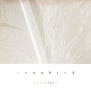 Porcelain