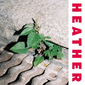 Heather