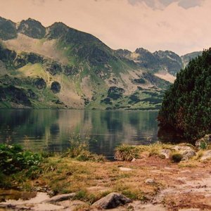Avatar for Sounds Of Nature