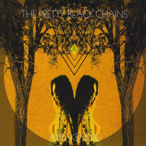 Awakening by The Pretty Black Chains