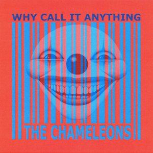 Why Call It Anything