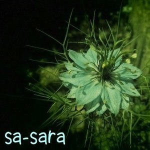 Avatar for sa-sara