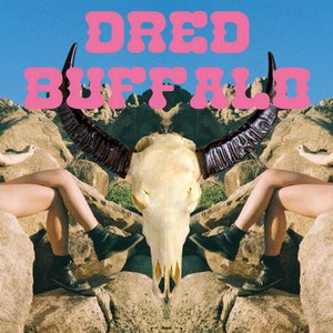 Dred Buffalo