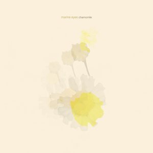 chamomile