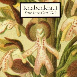 True Love Can Wait