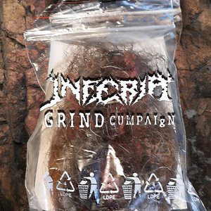 GRIND CUMPAIgN