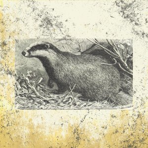 Avatar for Shire Oak