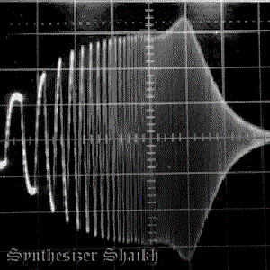 Synthesizer Shaikh