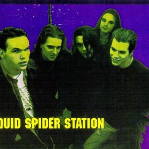 Avatar for Liquid Spider Station