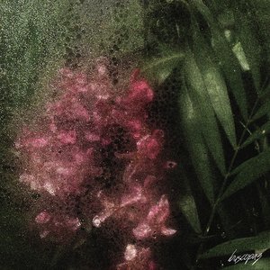 Birdsongs
